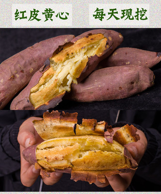 湖南省邵陽市雙清區(qū)扶貧助農(nóng)產(chǎn)品地瓜 10斤裝