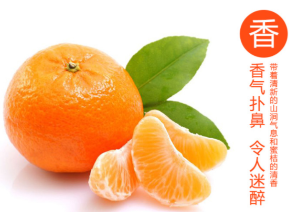 【邵陽紅 洞口】農家土特產品雪峰蜜桔