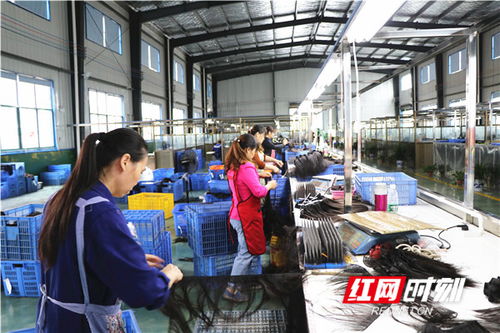 三湘情 建行心丨激活一個產(chǎn)業(yè) 帶富一方百姓